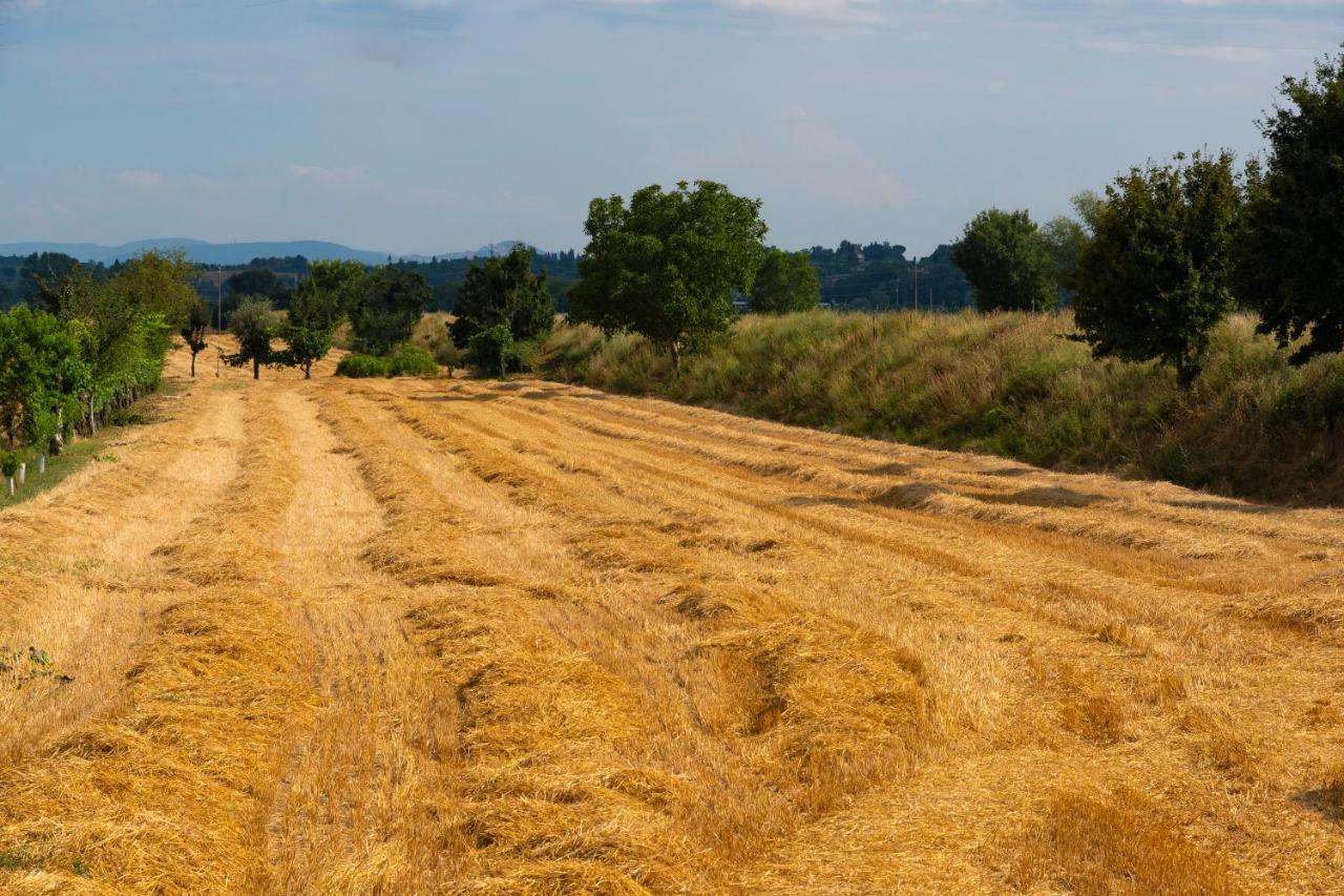 Locazione Turistica Casa Vento Della Toscana 弗约诺德拉亚那 外观 照片